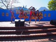 ばってん少女隊（写真提供：スターダスト音楽出版）