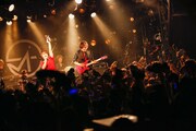 「SCREEN mode LIVE TOUR 2017 Spring "SOUL"」最終公演の様子。(写真提供:Lantis)