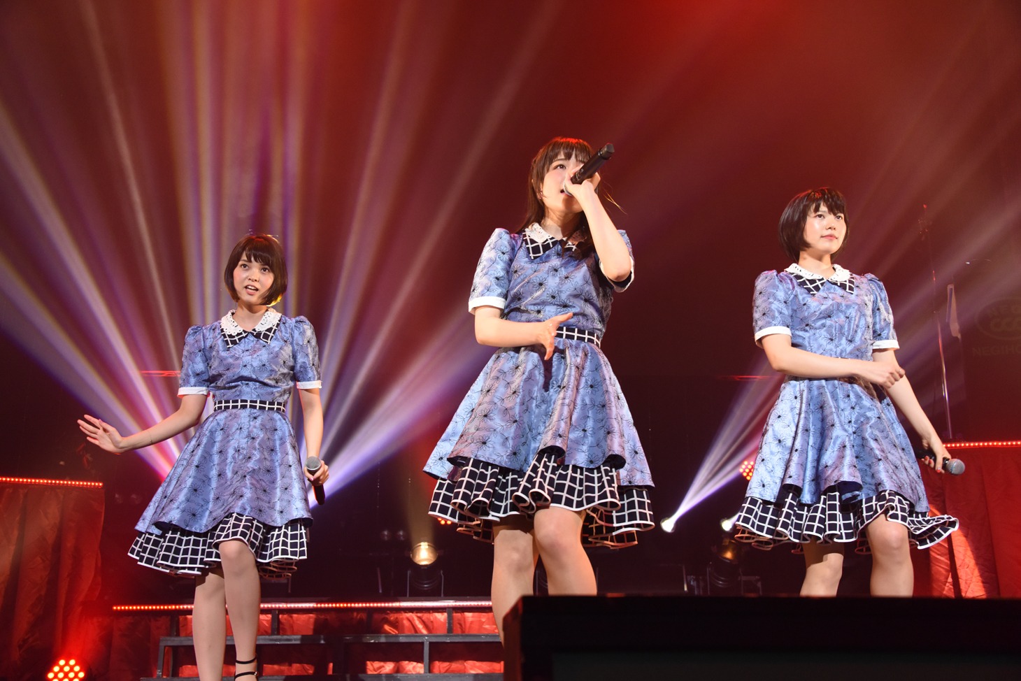 Negicco