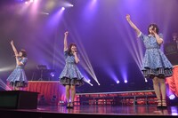 Negicco
