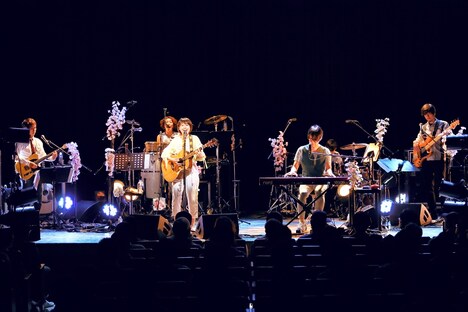 コアラモード.(撮影:新倉映見)