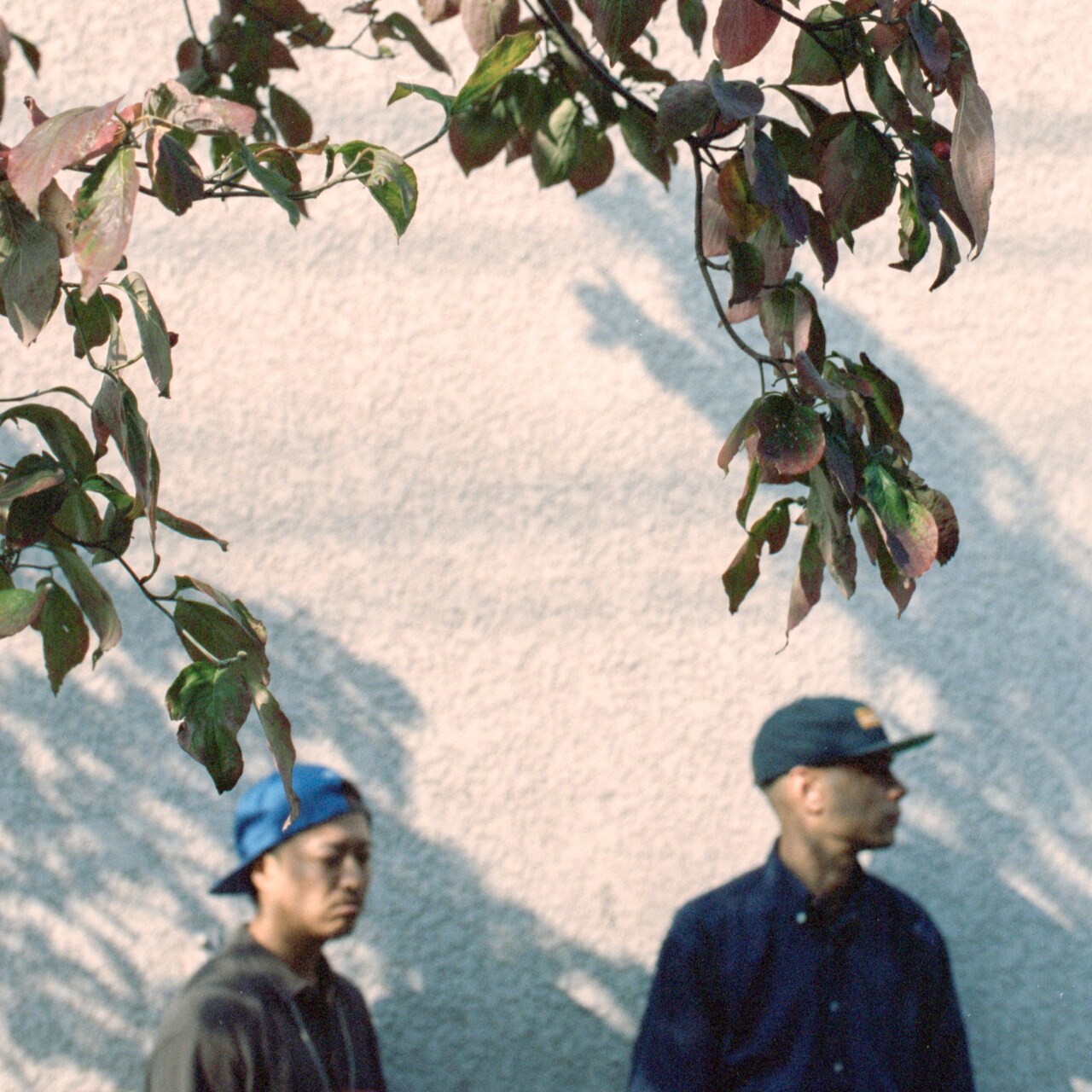 BudaMunkとfitz ambro$eのコラボ作再び、5lackも参加