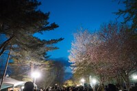 「ARABAKI ROCK FEST.17」会場の様子。（写真提供：ARABAKI PROJECT）