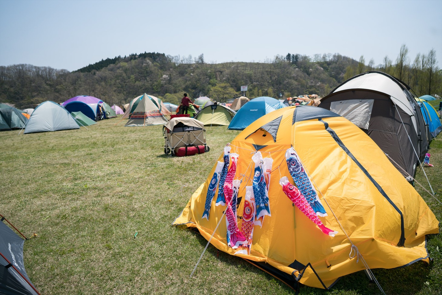 「ARABAKI ROCK FEST.17」会場の様子。（写真提供：ARABAKI PROJECT）