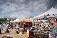 「ARABAKI ROCK FEST.17」会場の様子。（写真提供：ARABAKI PROJECT）