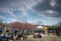 「ARABAKI ROCK FEST.17」会場の様子。（写真提供：ARABAKI PROJECT）