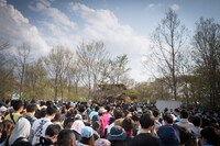 「ARABAKI ROCK FEST.17」会場の様子。（写真提供：ARABAKI PROJECT）