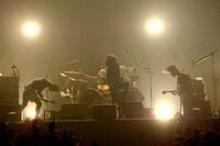 THE BACK HORN（撮影：半田安政）