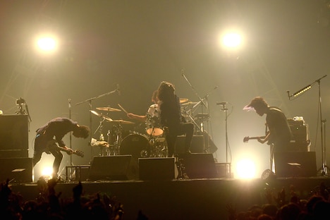 THE BACK HORN(撮影:半田安政)