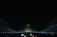 「SUGA SHIKAO 20th ANNIVERSARY『スガフェス！～20年に一度のミラクルフェス～』」の様子。（撮影：西槇太一）