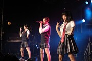です。ラビッツ(Photo by toshio sato)