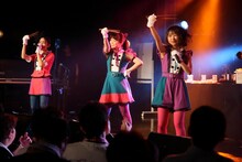 です。ラビッツ（Photo by toshio sato）