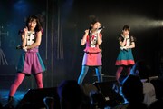 です。ラビッツ(Photo by toshio sato)