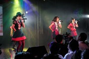 です。ラビッツ(Photo by toshio sato)