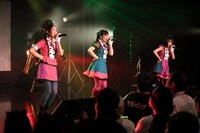 です。ラビッツ（Photo by toshio sato）