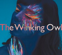 The Winking Owl「Into Another World」ジャケット