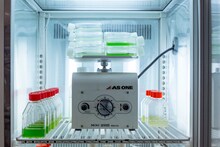 やくしまるえつこ「わたしは人類」遺伝子組換え微生物