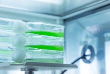 やくしまるえつこ「わたしは人類」遺伝子組換え微生物