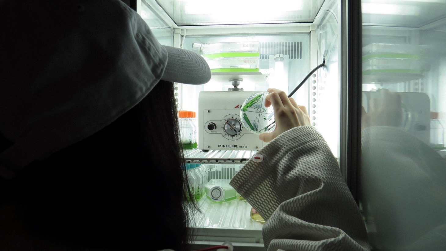 やくしまるえつこ「わたしは人類」遺伝子組換え微生物