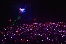 CHiCO with HoneyWorks「LAWSON presents CHiCO with HoneyWorks 東京・大阪Zeppワンマンライブ『今日もサクラ舞うZeppに』」東京・Zepp Tokyo公演の様子。（撮影：小川舞）