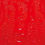 RED WARRIORS「FIRE DROPS」ジャケット
