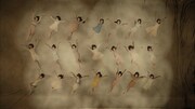 AKB48「あの頃の五百円玉」のミュージックビデオのワンシーン。