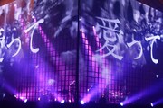 「amazarashi 360° LIVE『虚無病』」の様子。