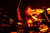 ターキー（Dr）（撮影：水島キノコ）