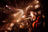 ハナレグミ「名前のないツアー」最終公演の様子。（撮影：田中聖太郎）