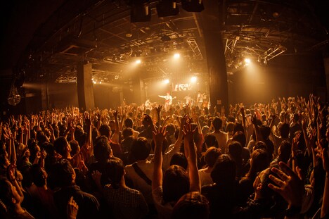 ハナレグミ「名前のないツアー」最終公演の様子。（撮影：田中聖太郎）