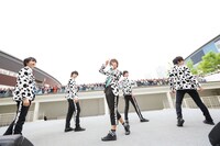 M!LK（撮影：笹森健一）