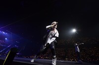 kradness（撮影：小松陽祐［ODD JOB］、岡本麻衣、小境勝巳）