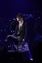 luz（撮影：小松陽祐［ODD JOB］、岡本麻衣、小境勝巳）