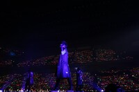 うらたぬき（撮影：小松陽祐［ODD JOB］、岡本麻衣、小境勝巳）