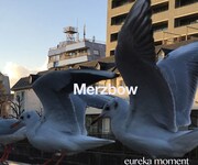 Merzbow「eureka moment」ジャケット