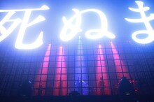 amazarashi「amazarashi 360° LIVE『虚無病』」の様子。（写真提供：ソニー・ミュージックアソシエイテッドレコーズ）