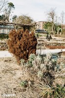 「march」より。