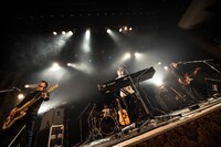 SHE'S（撮影：ヤオタケシ）