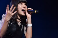 アサヒ（Photo by Yusuke Sato）