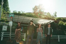 アイビーカラー