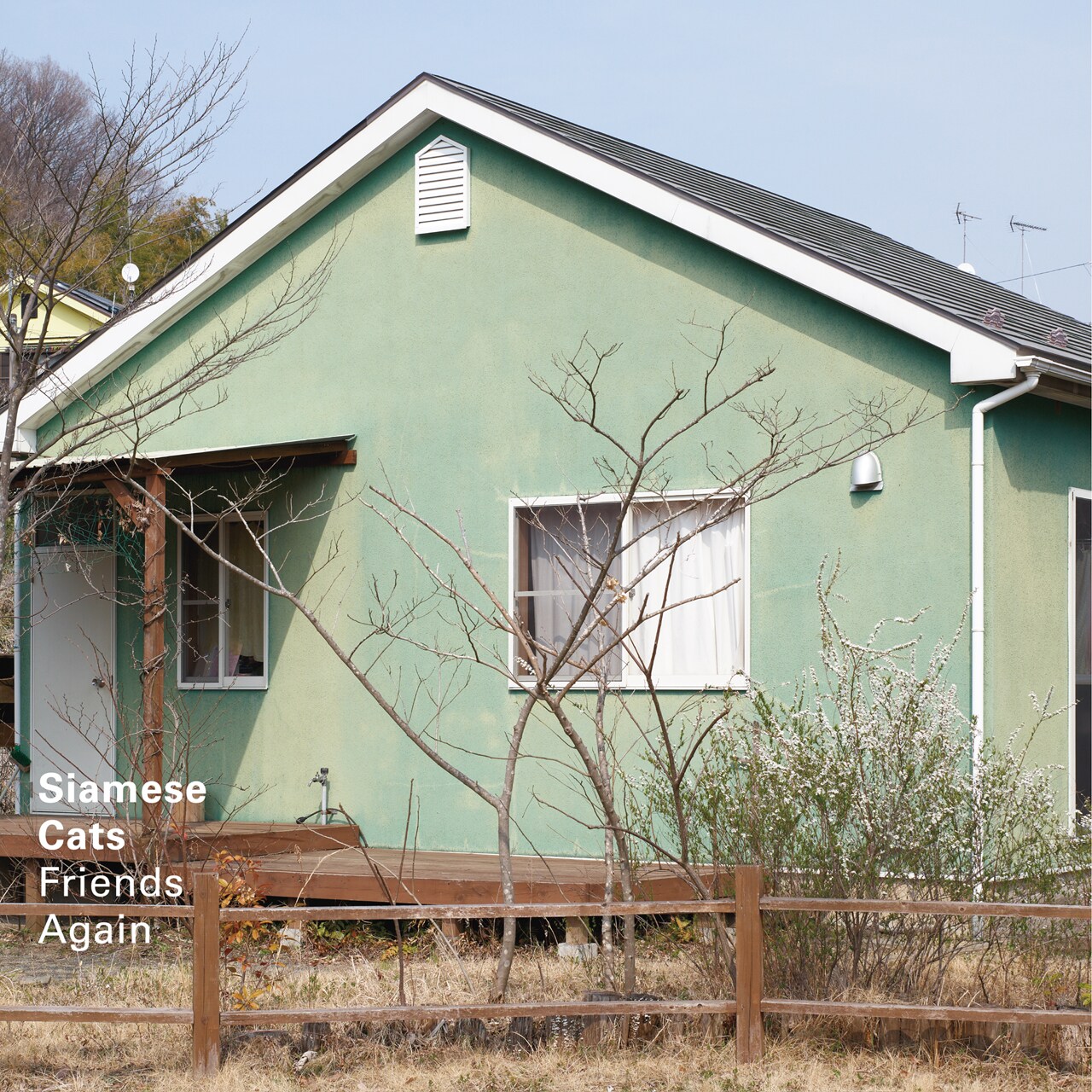 シャムキャッツ、新アルバム収録内容発表＆「Travel Agency」配信スタート