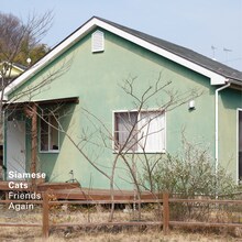 シャムキャッツ「Friends Again」ジャケット