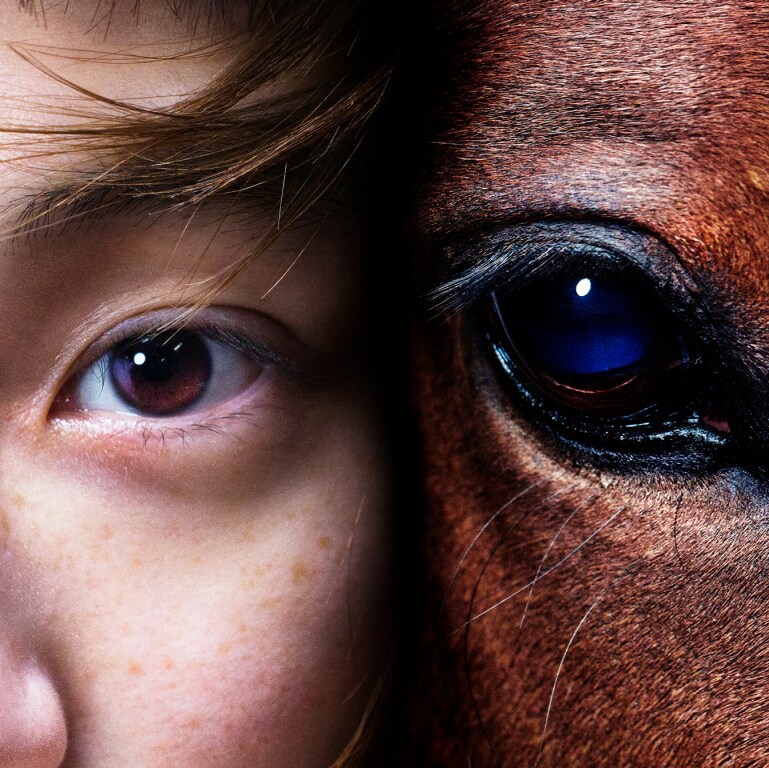 水曜日のカンパネラ「メロス」配信ジャケット