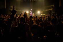 BRADIO（撮影：星野健太）