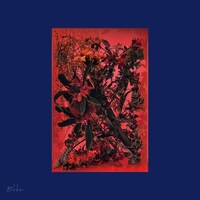 8otto「Ganges-Fox」ジャケット
