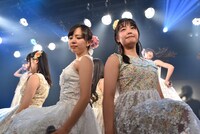 「ハコイリ▽ムスメの定期便5月号～初夏の陽光に輝くスイートピーとスターチス～」の様子。