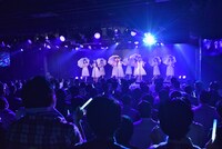 「ハコイリ▽ムスメの定期便5月号～初夏の陽光に輝くスイートピーとスターチス～」の様子。