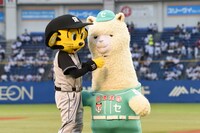 トラッキーとセパくん。