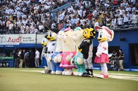 左からズーちゃん、マーくん、パカくん、セパコちゃん、セパくん、トラッキー、リーンちゃん。