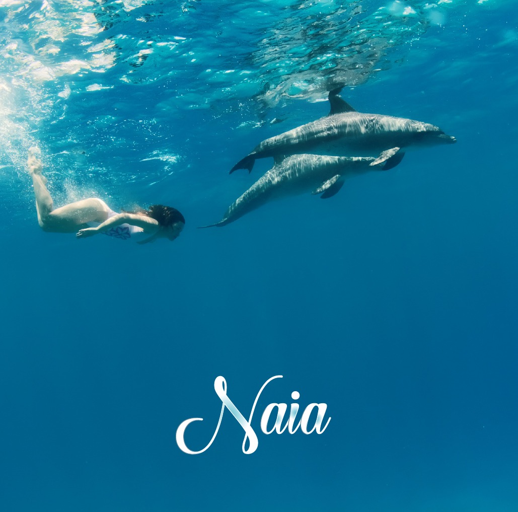 SUNs「Naia」ジャケット